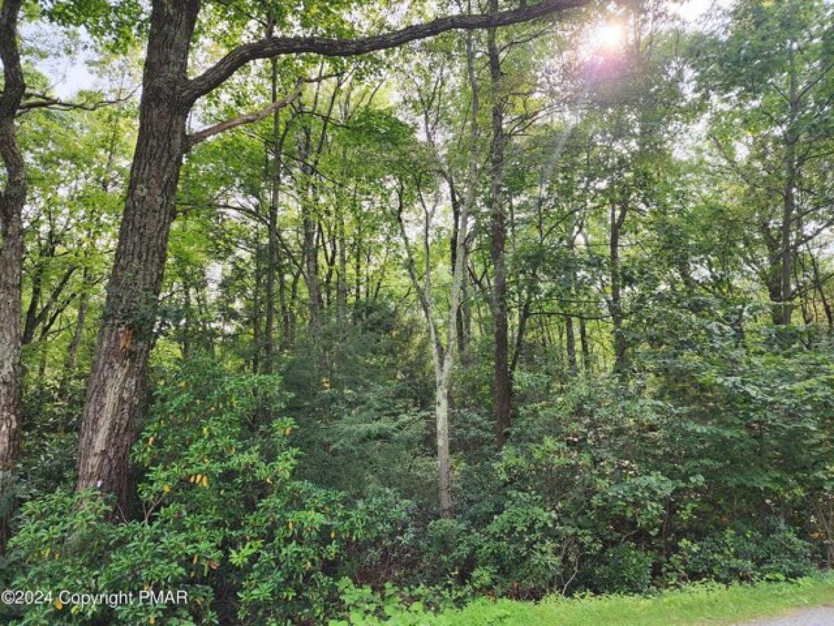 Picture of Residential Land For Sale in Jim Thorpe, Pennsylvania, United States