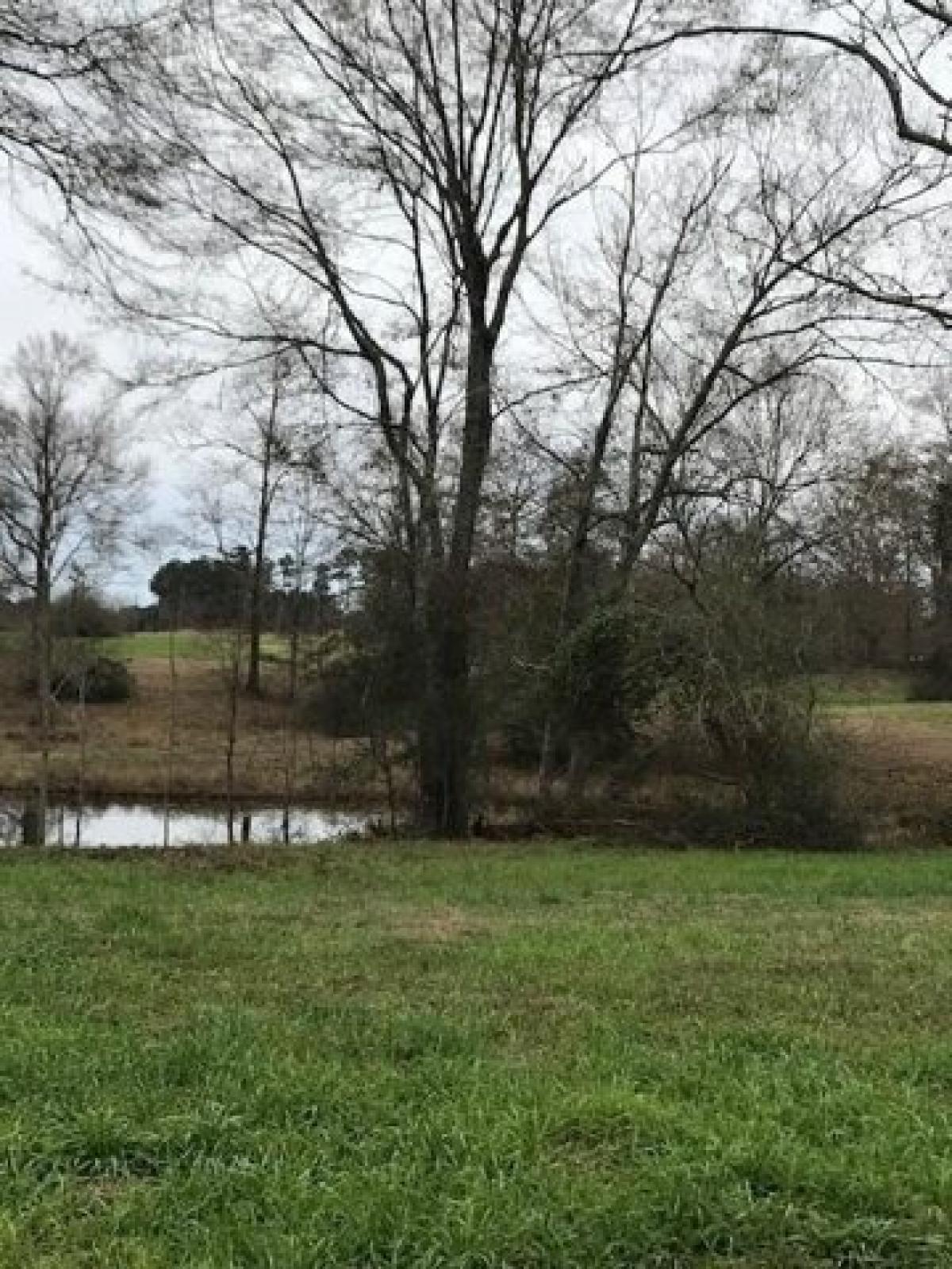 Picture of Residential Land For Sale in Poplarville, Mississippi, United States