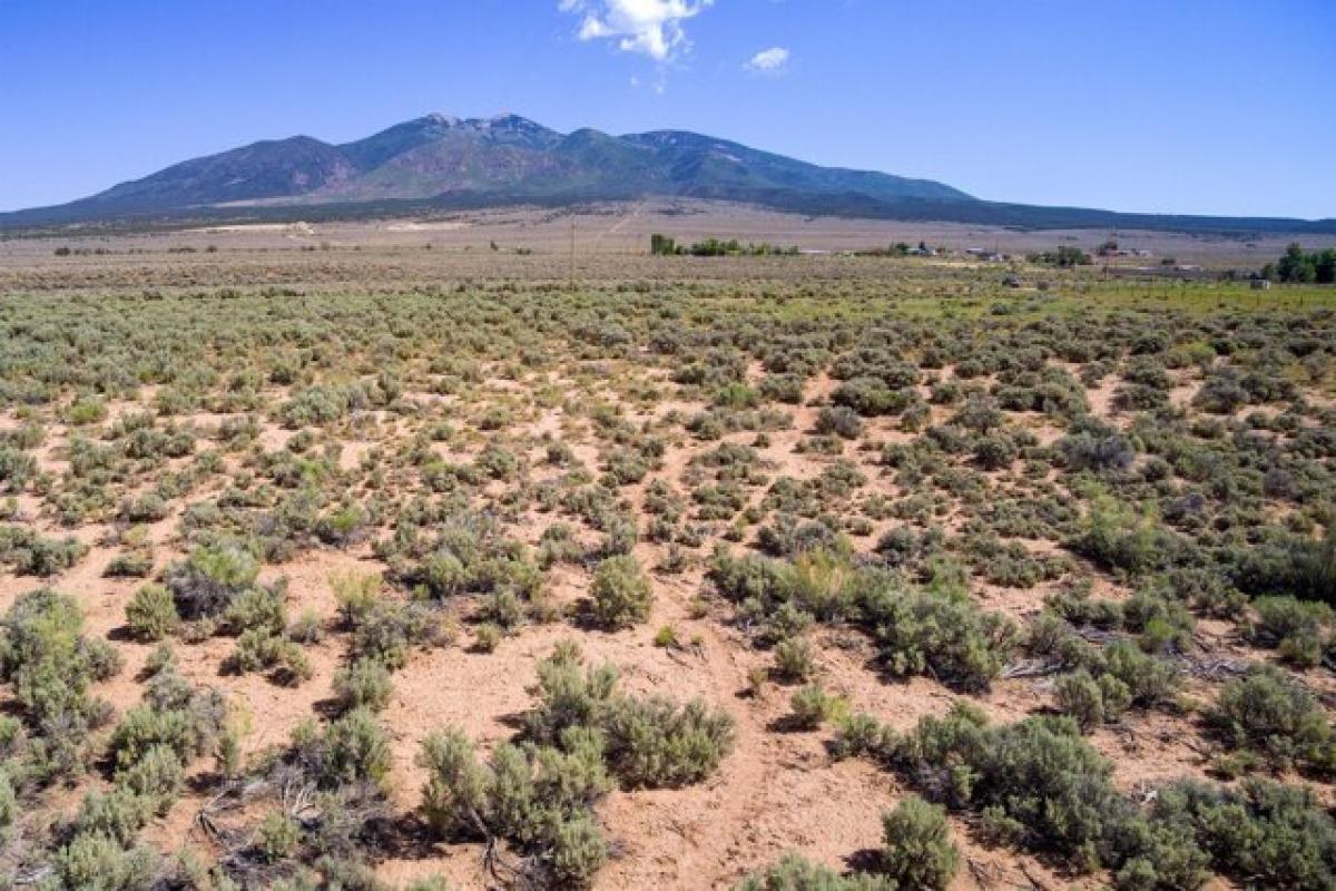 Picture of Residential Land For Sale in La Sal, Utah, United States