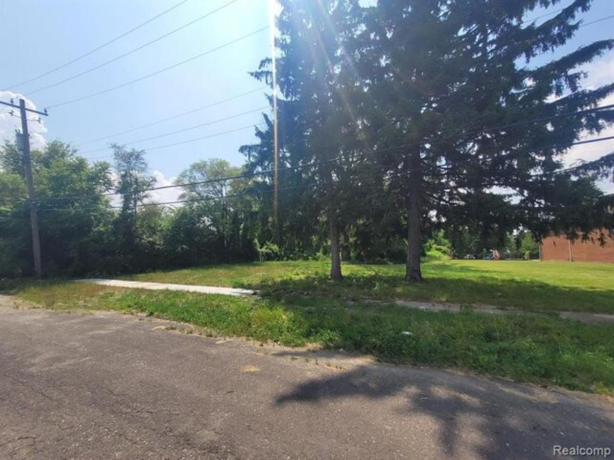 Picture of Residential Land For Rent in Detroit, Michigan, United States