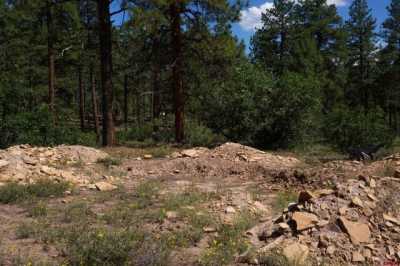 Residential Land For Sale in Mancos, Colorado