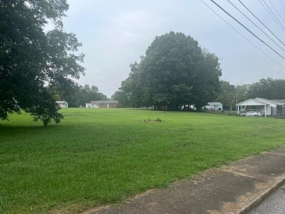 Picture of Residential Land For Sale in Gleason, Tennessee, United States