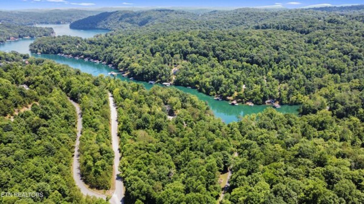 Picture of Residential Land For Sale in Jacksboro, Tennessee, United States