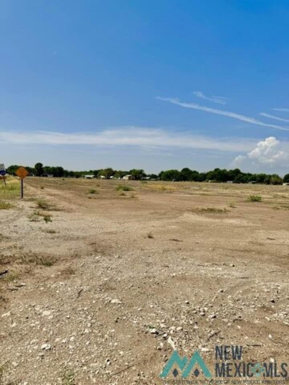 Picture of Residential Land For Sale in Carlsbad, New Mexico, United States