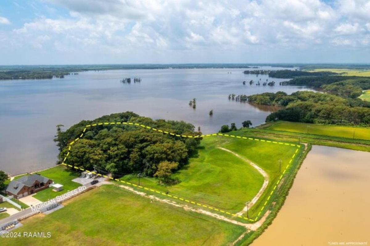 Picture of Residential Land For Sale in Lake Arthur, Louisiana, United States