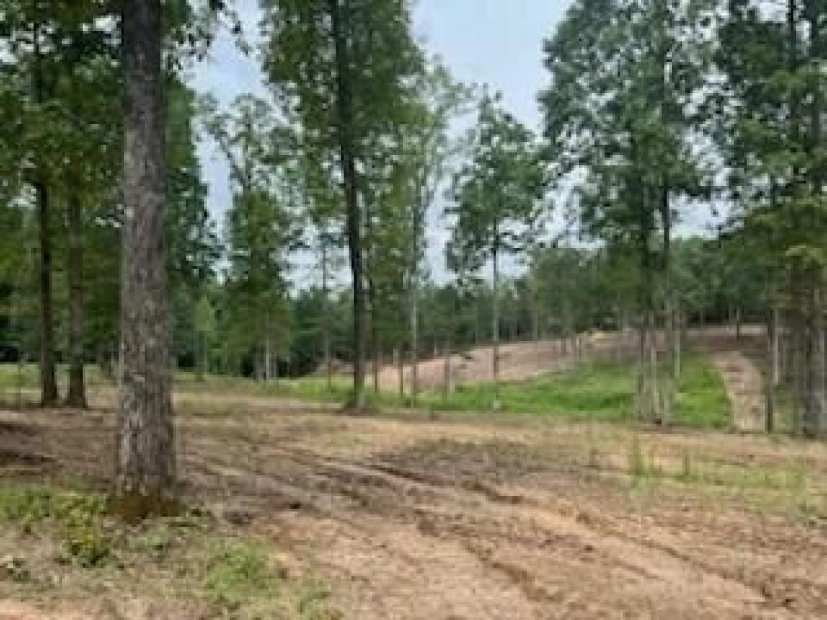 Picture of Residential Land For Sale in Huntingdon, Tennessee, United States