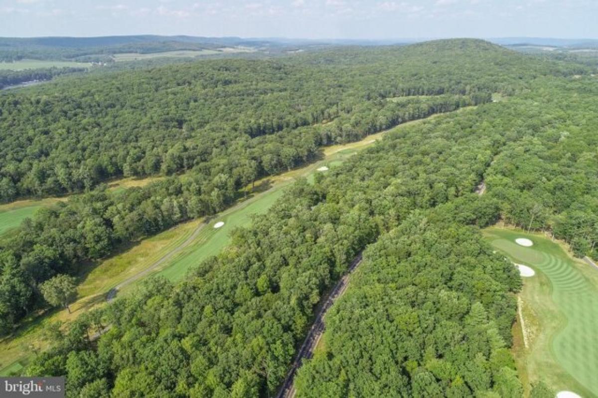 Picture of Residential Land For Sale in Swanton, Maryland, United States