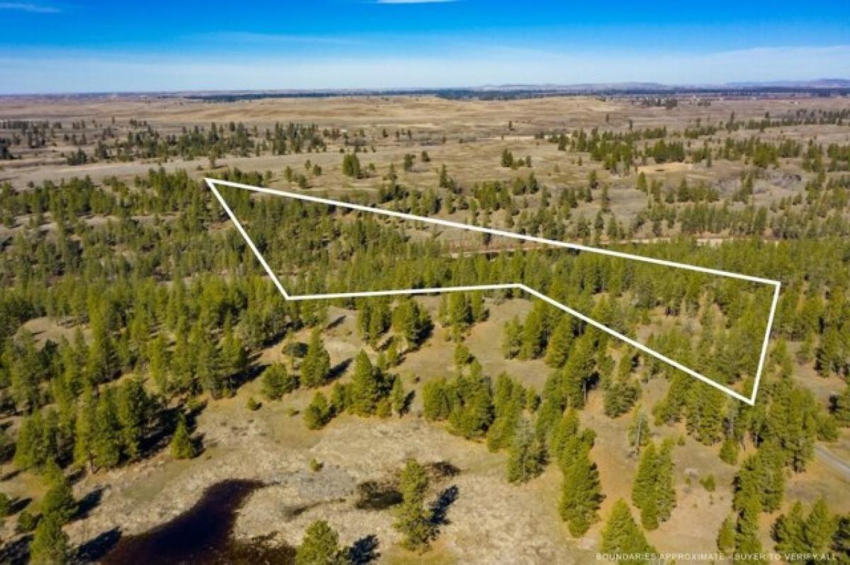 Picture of Residential Land For Sale in Cheney, Washington, United States