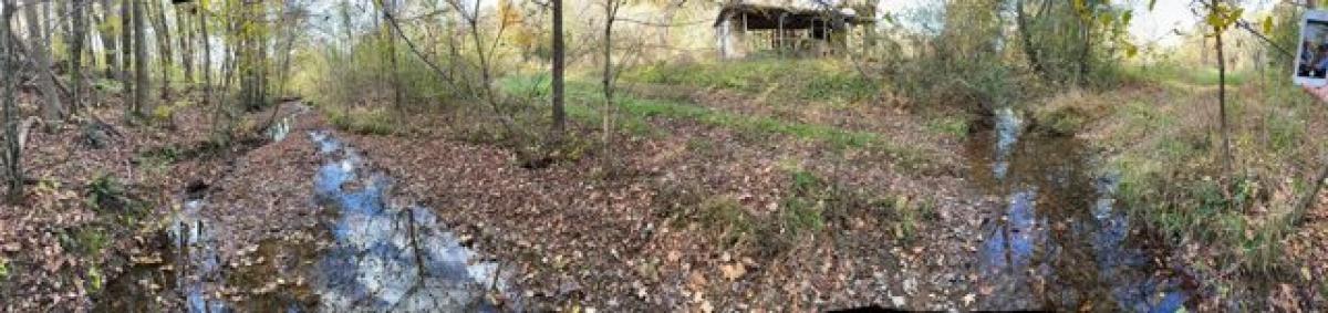 Picture of Residential Land For Sale in Minor Hill, Tennessee, United States