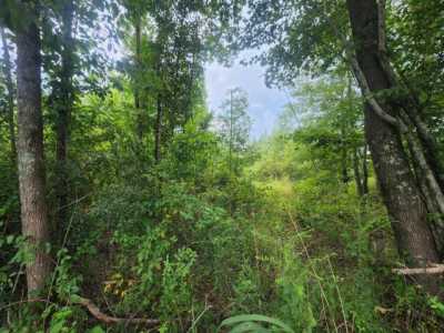 Residential Land For Sale in 