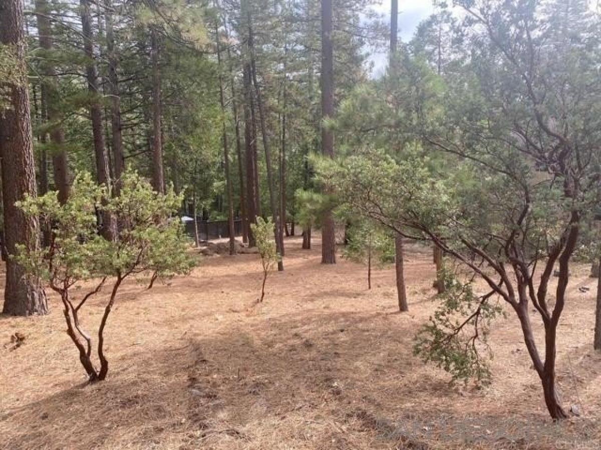 Picture of Residential Land For Sale in Idyllwild, California, United States