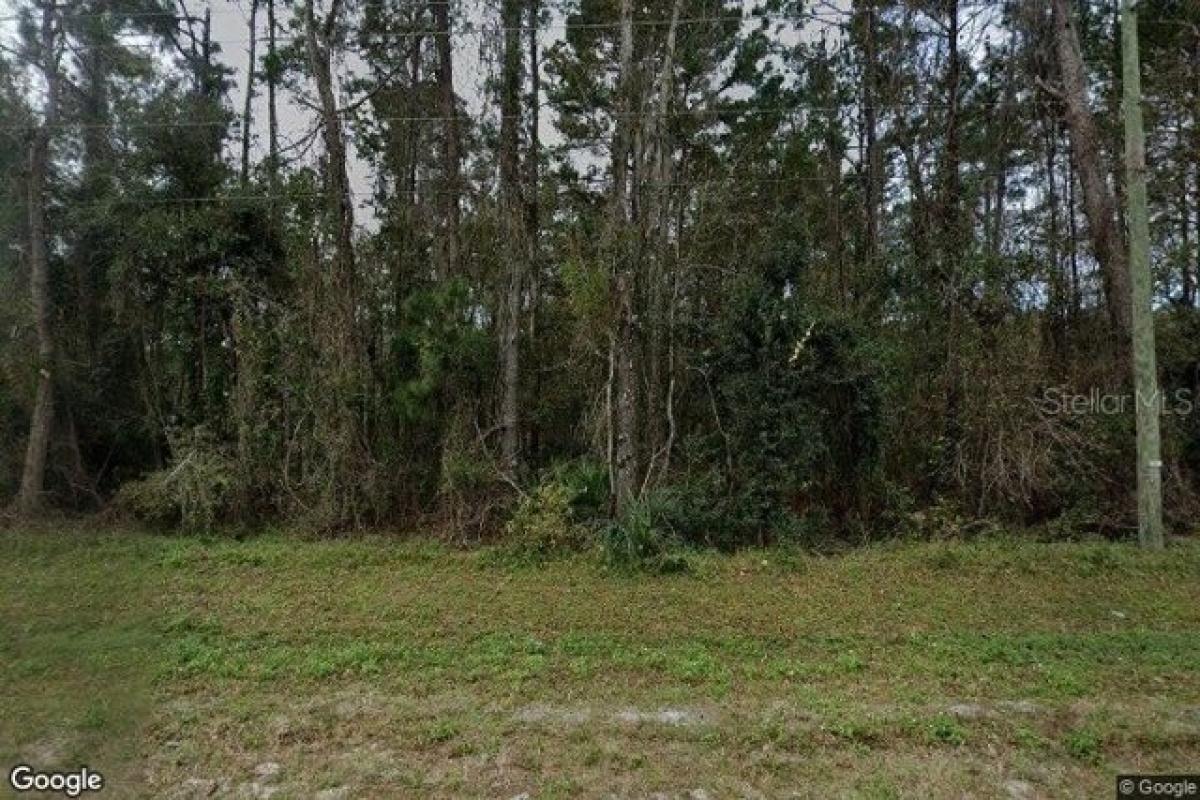 Picture of Residential Land For Sale in San Mateo, Florida, United States