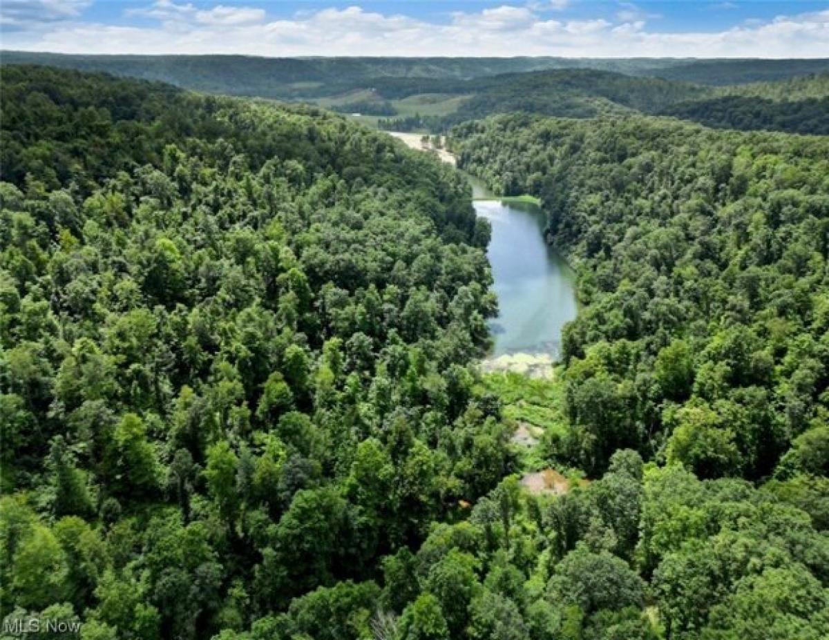 Picture of Residential Land For Sale in Hammondsville, Ohio, United States