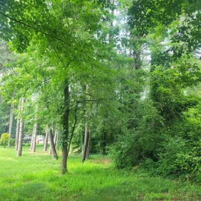 Residential Land For Sale in Jerome, Michigan