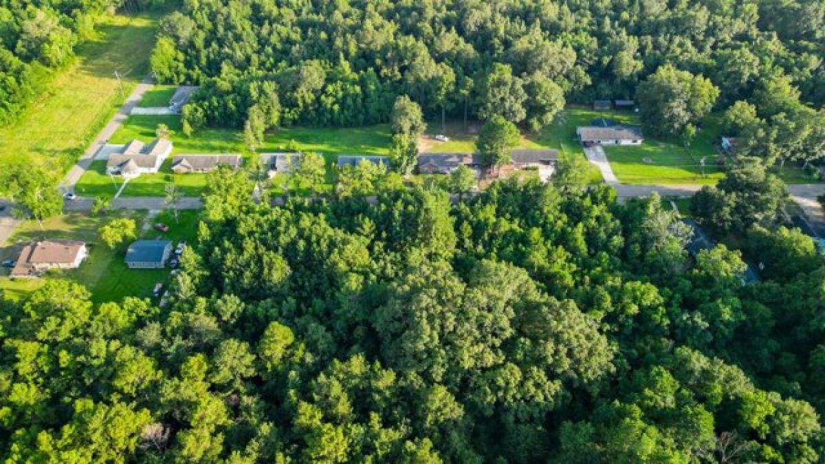 Picture of Residential Land For Sale in Hattiesburg, Mississippi, United States