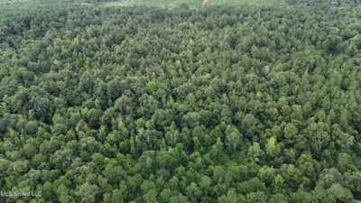 Residential Land For Sale in Collins, Mississippi