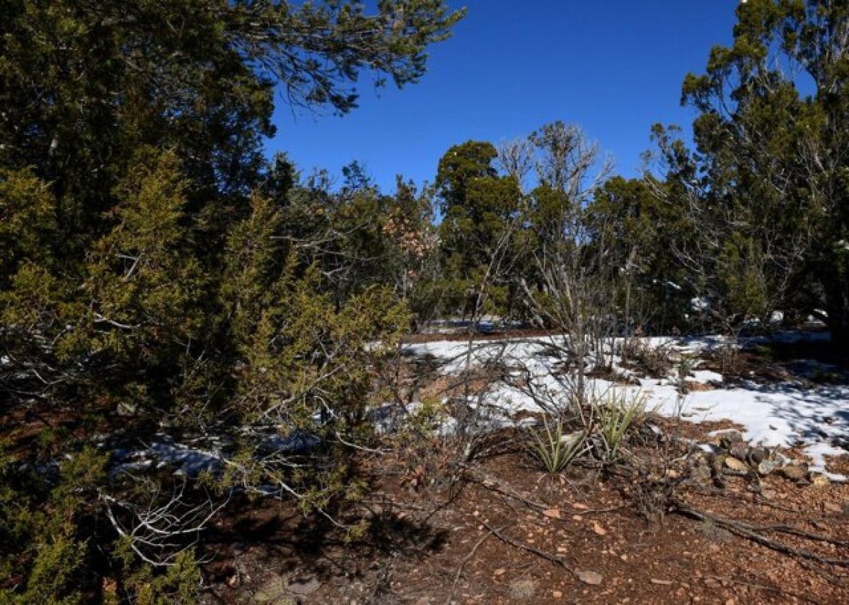 Picture of Residential Land For Sale in Sandia Park, New Mexico, United States