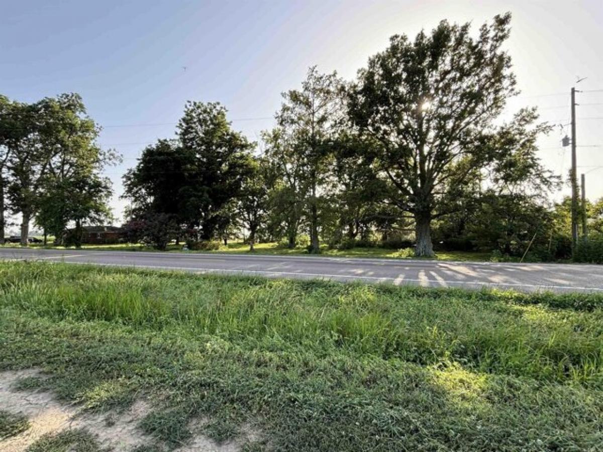 Picture of Residential Land For Sale in Osceola, Arkansas, United States