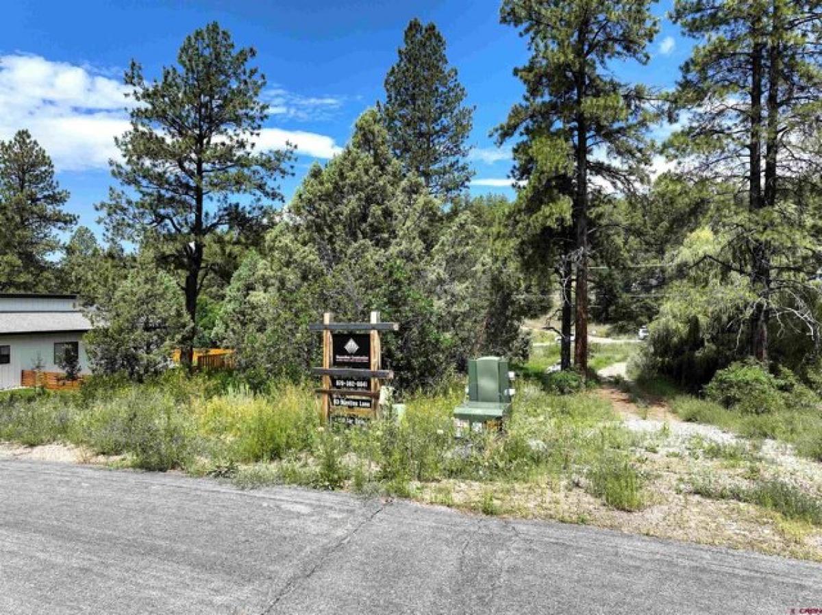 Picture of Residential Land For Sale in Durango, Colorado, United States