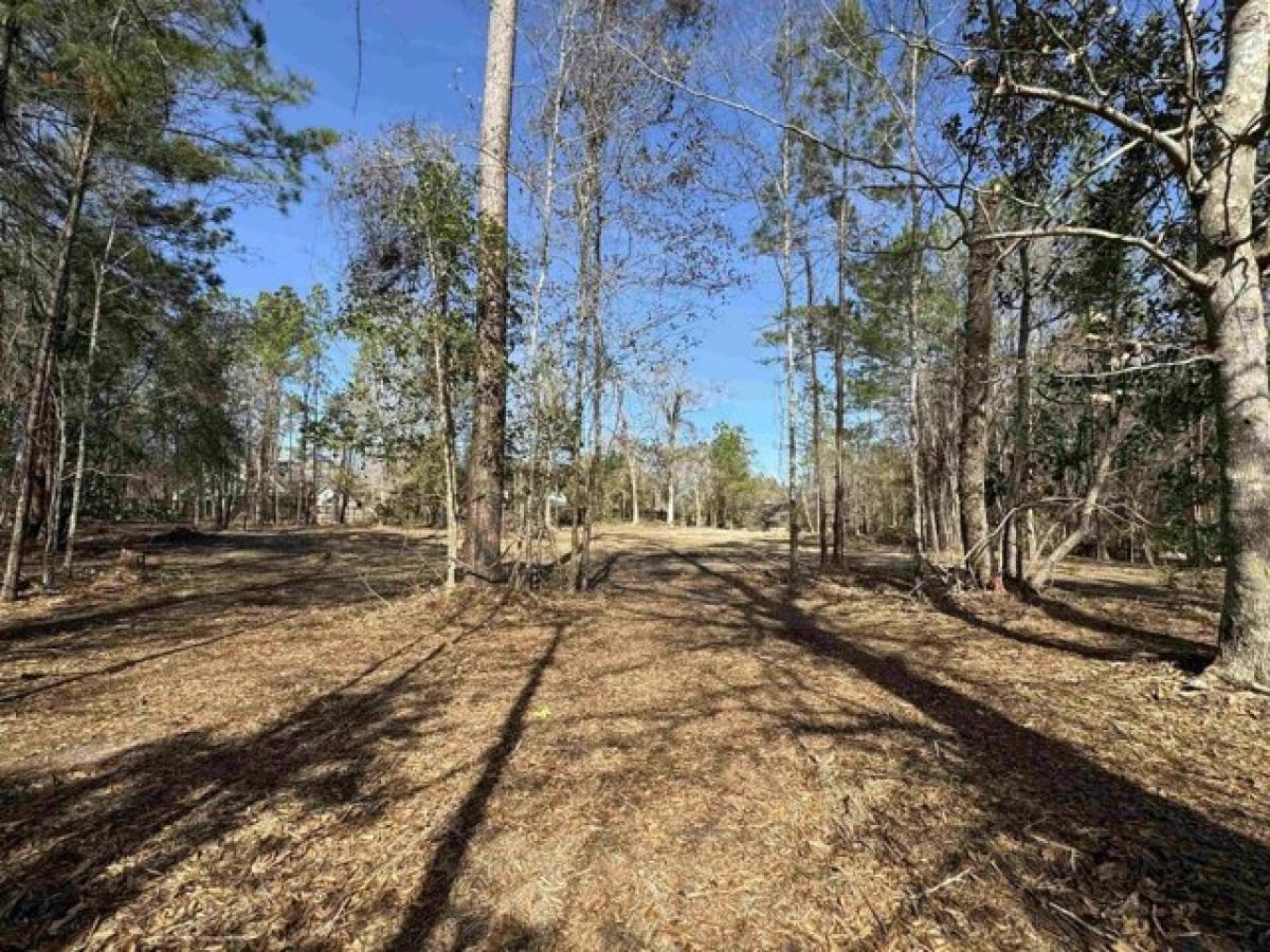 Picture of Residential Land For Sale in Lumberton, Texas, United States