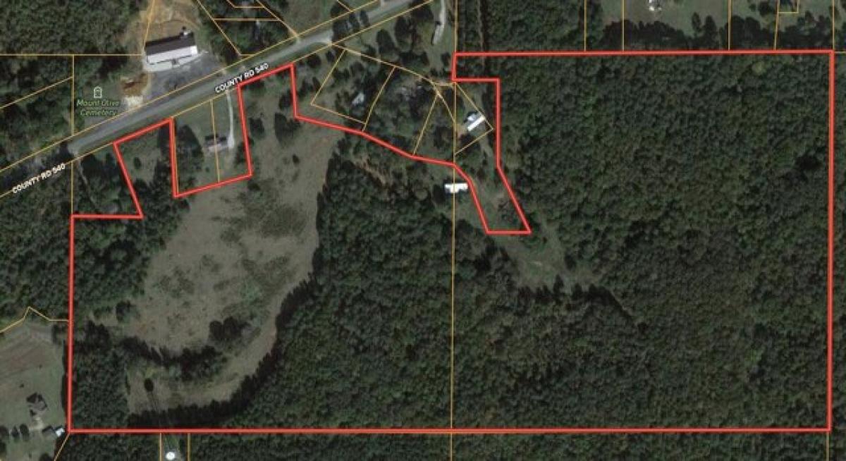 Picture of Residential Land For Sale in Ripley, Mississippi, United States