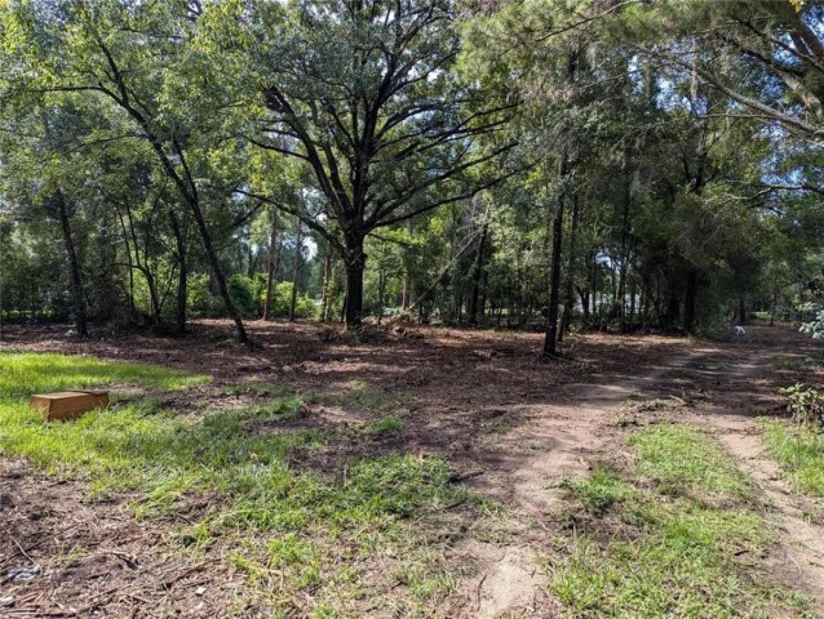 Picture of Residential Land For Sale in Valrico, Florida, United States