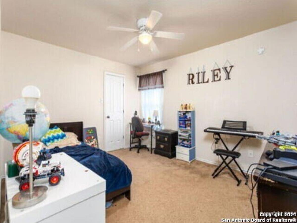 Picture of Home For Rent in Cibolo, Texas, United States