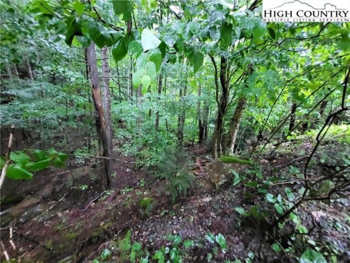 Picture of Residential Land For Sale in Beech Mountain, North Carolina, United States