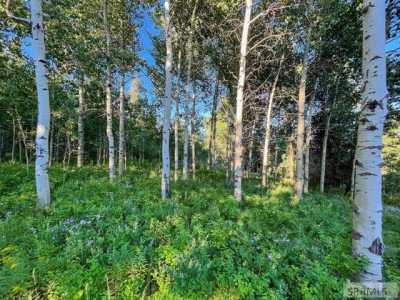 Residential Land For Sale in Ashton, Idaho