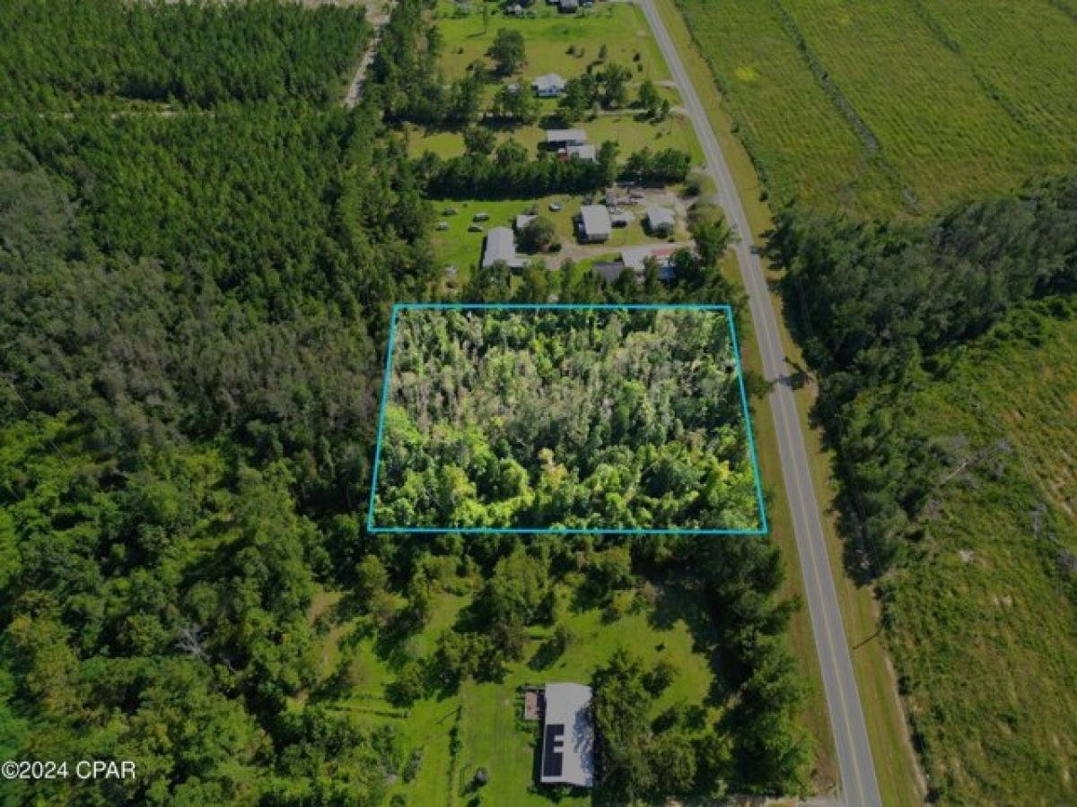 Picture of Residential Land For Sale in Blountstown, Florida, United States