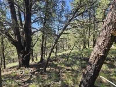 Residential Land For Sale in Ruidoso, New Mexico