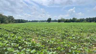 Residential Land For Sale in 