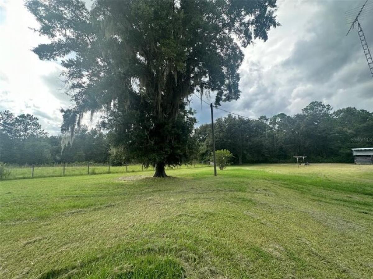 Picture of Residential Land For Sale in Citra, Florida, United States