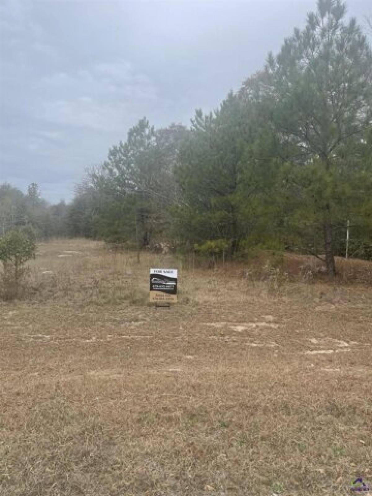 Picture of Residential Land For Sale in Macon, Georgia, United States