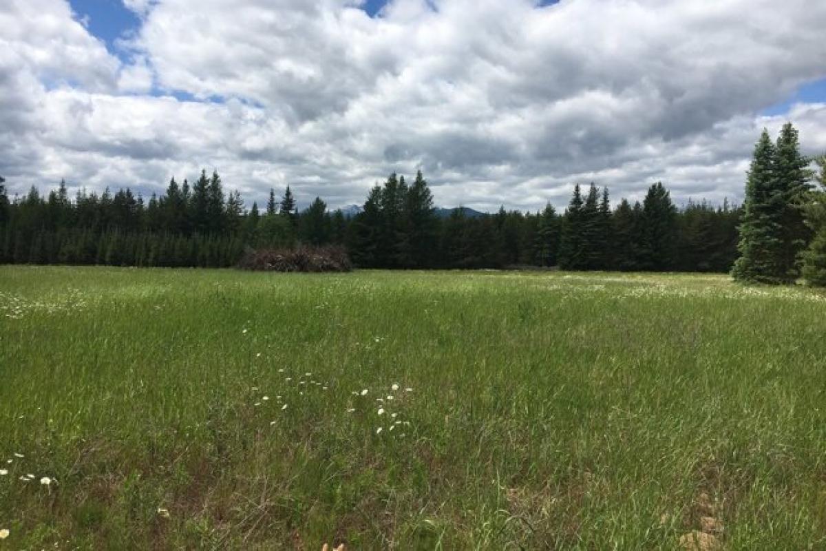 Picture of Residential Land For Sale in Naples, Idaho, United States