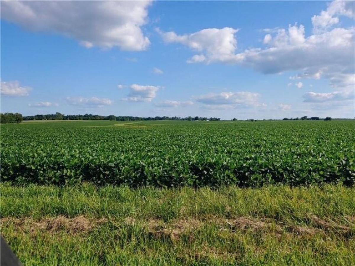 Picture of Residential Land For Sale in Paris, Illinois, United States