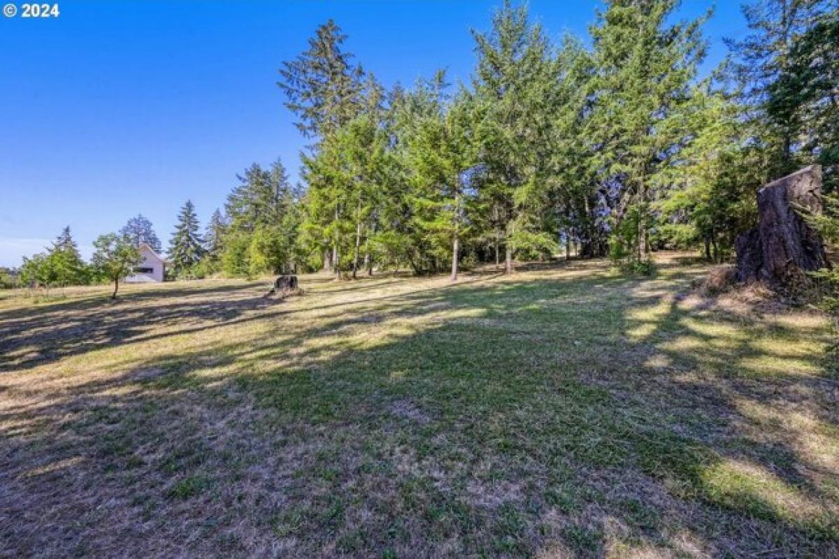 Picture of Residential Land For Sale in Eugene, Oregon, United States