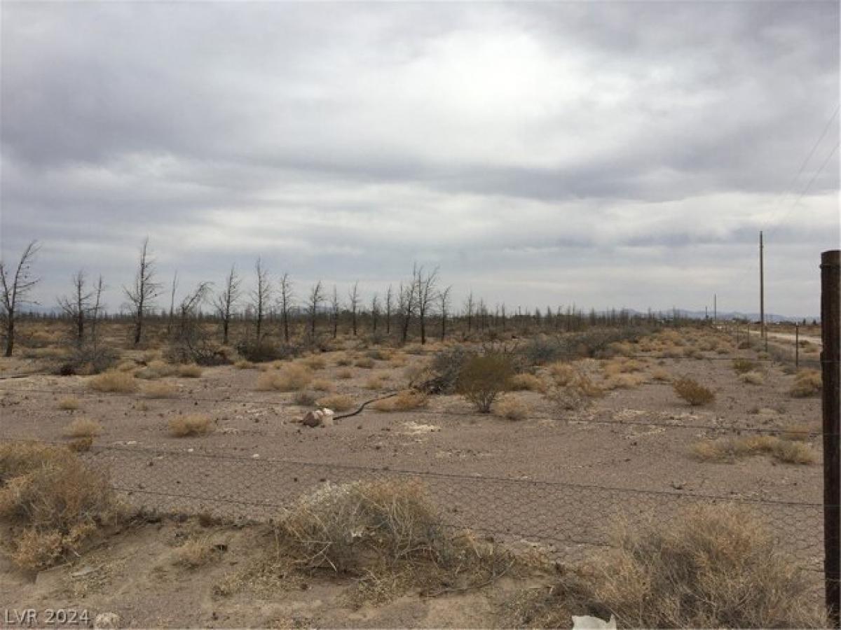 Picture of Residential Land For Sale in Amargosa Valley, Nevada, United States