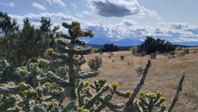 Residential Land For Sale in Walsenburg, Colorado