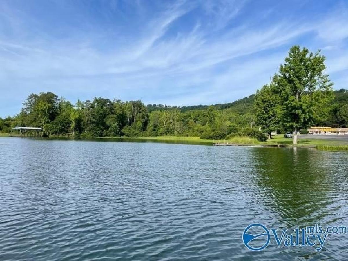 Picture of Residential Land For Sale in Scottsboro, Alabama, United States