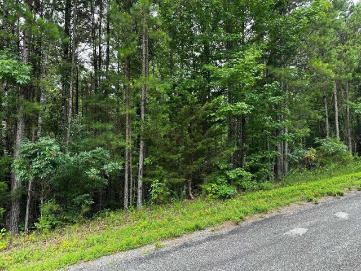 Picture of Residential Land For Sale in Shirley, Arkansas, United States