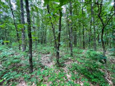 Residential Land For Sale in Fennville, Michigan