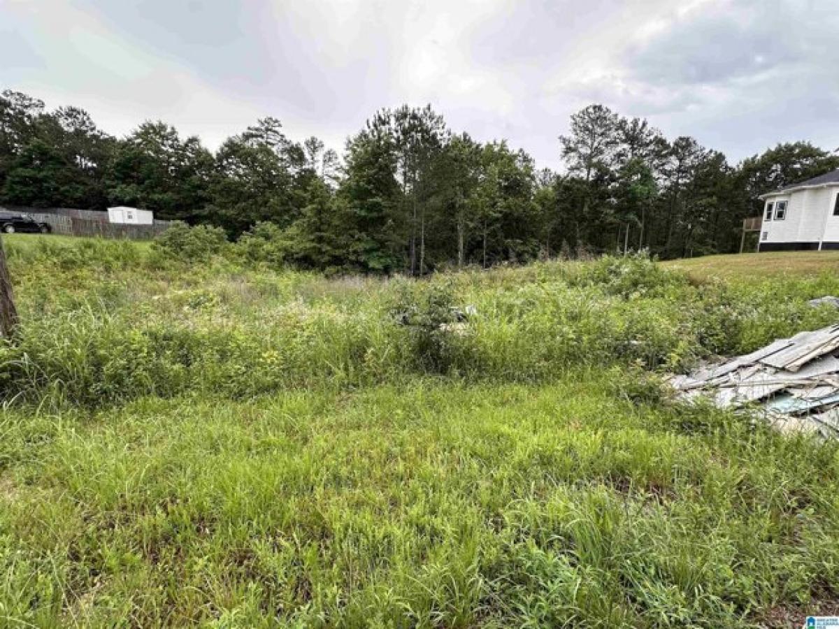 Picture of Residential Land For Sale in Odenville, Alabama, United States