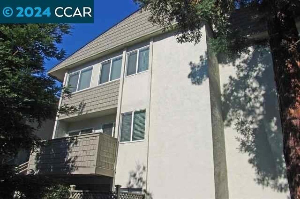 Picture of Home For Rent in Walnut Creek, California, United States