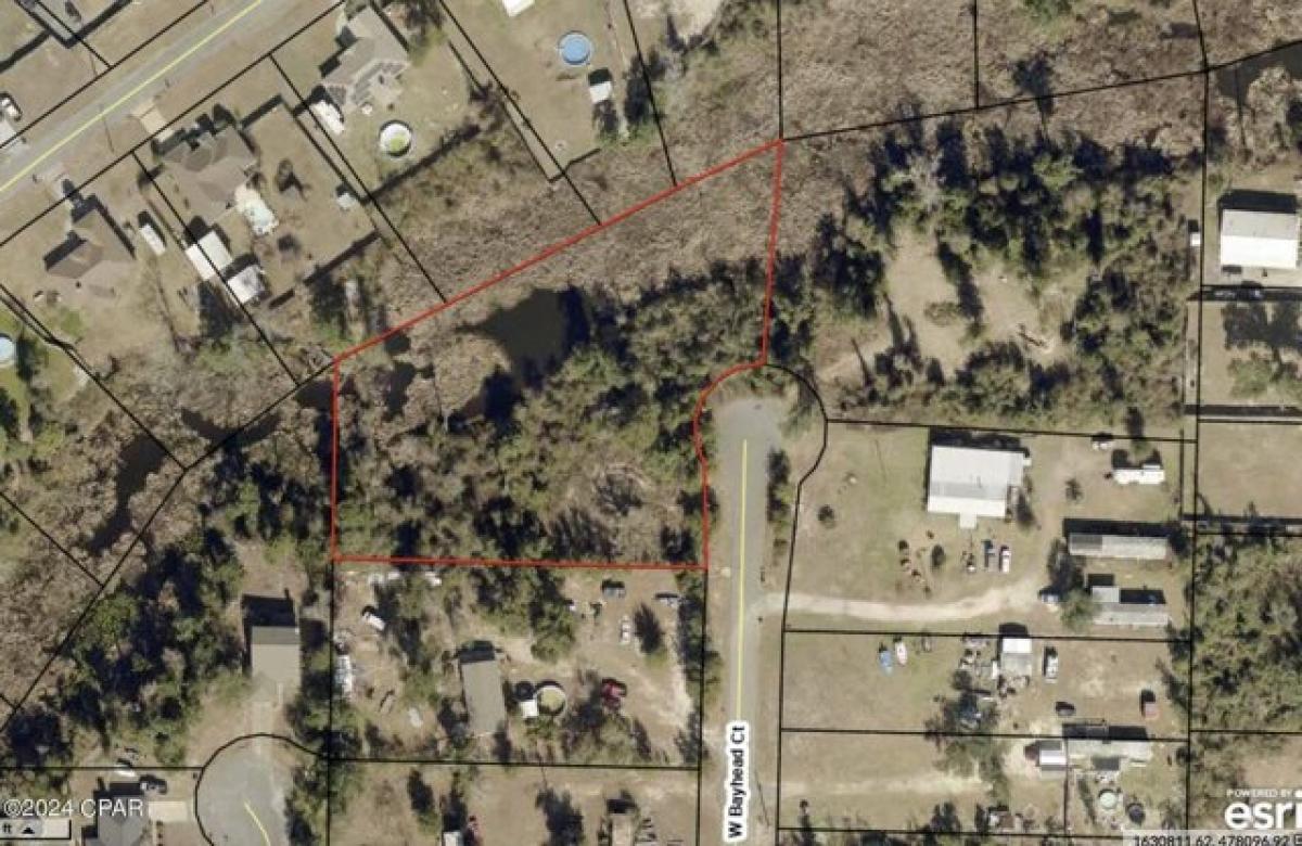 Picture of Residential Land For Sale in Youngstown, Florida, United States