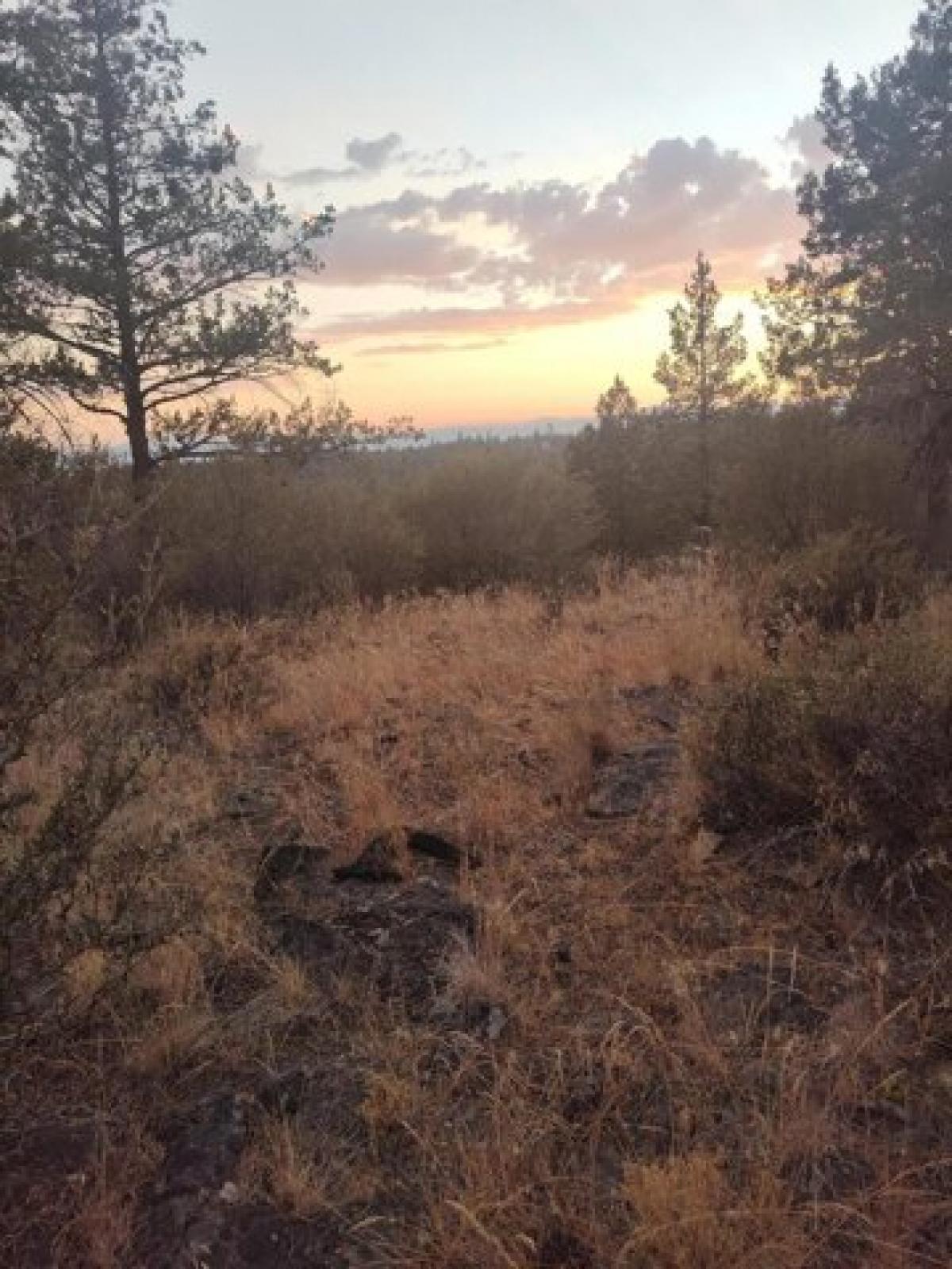 Picture of Residential Land For Sale in Bonanza, Oregon, United States