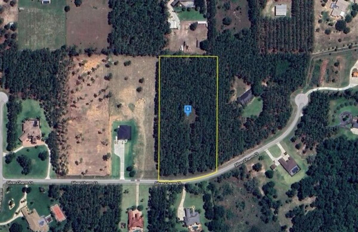 Picture of Residential Land For Sale in Leesburg, Florida, United States