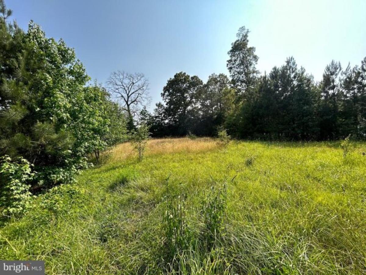 Picture of Residential Land For Sale in Georgetown, Delaware, United States