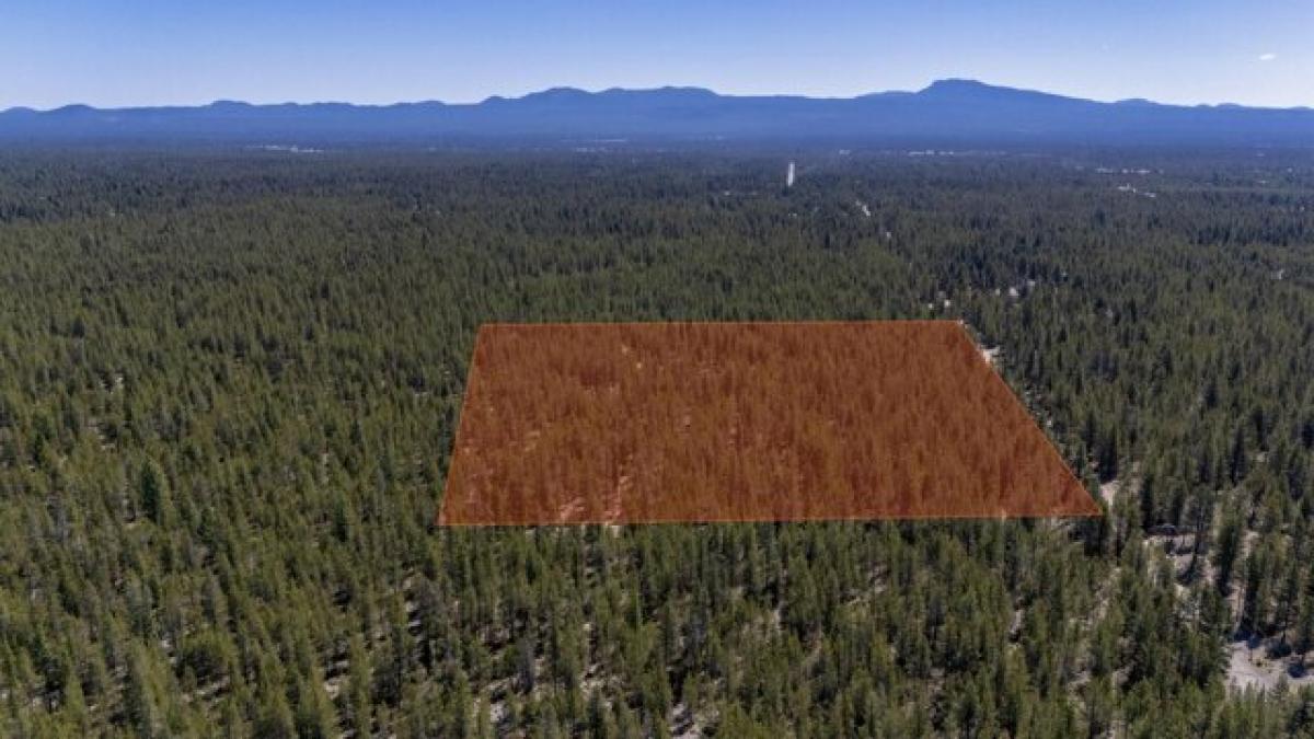 Picture of Residential Land For Sale in La Pine, Oregon, United States