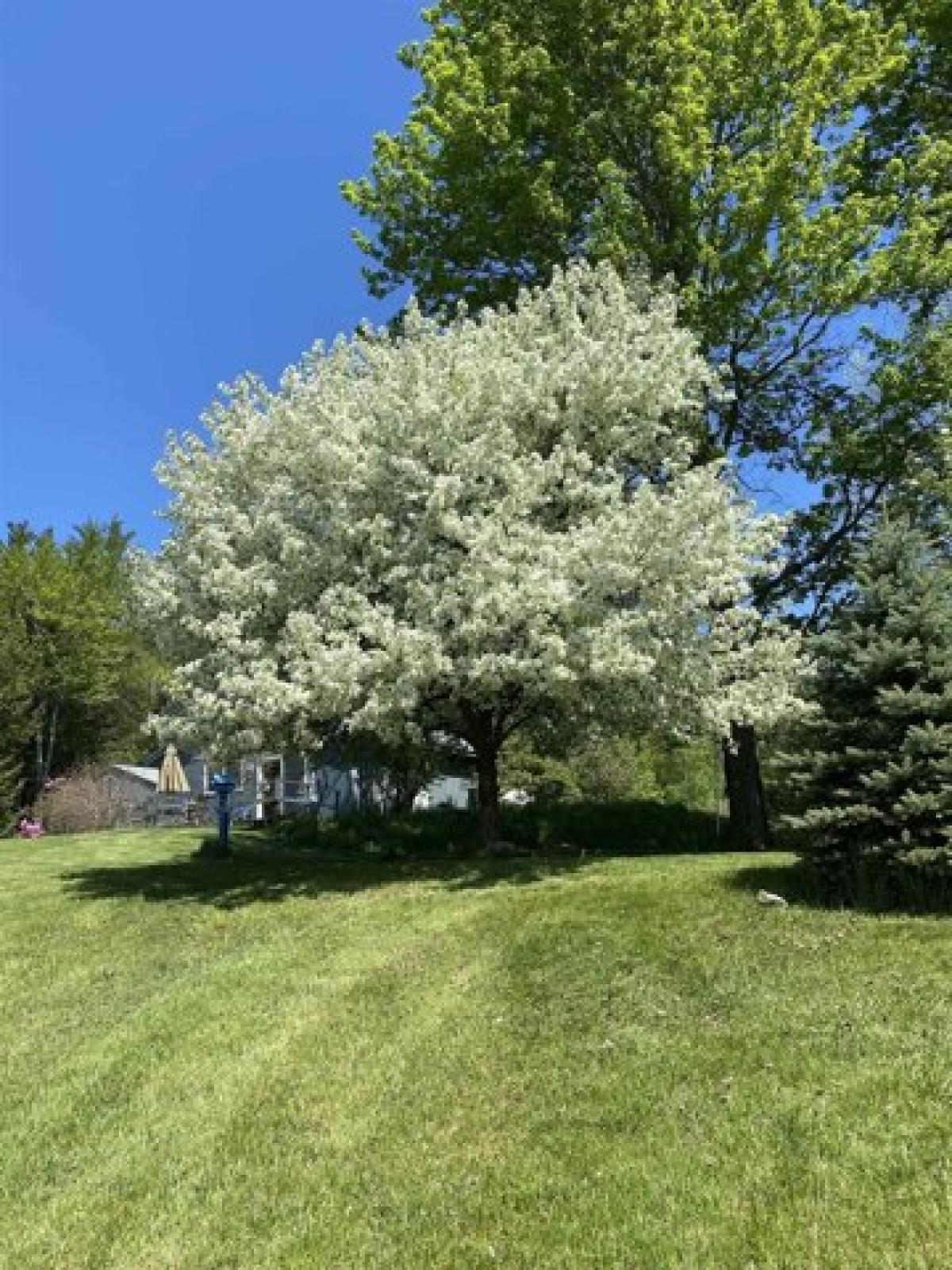 Picture of Home For Sale in Hartland, Vermont, United States